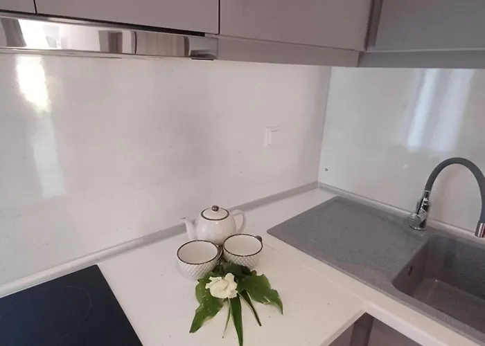 Summer Paradise Apartament
